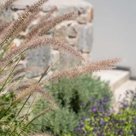 Galazio Suites, Serifos شقة فندقية 4*