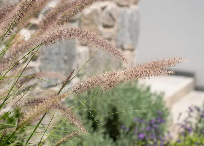 Galazio Suites, Serifos 公寓式酒店 4*